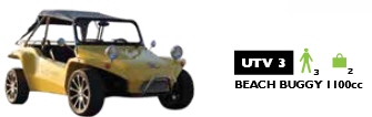 buggy